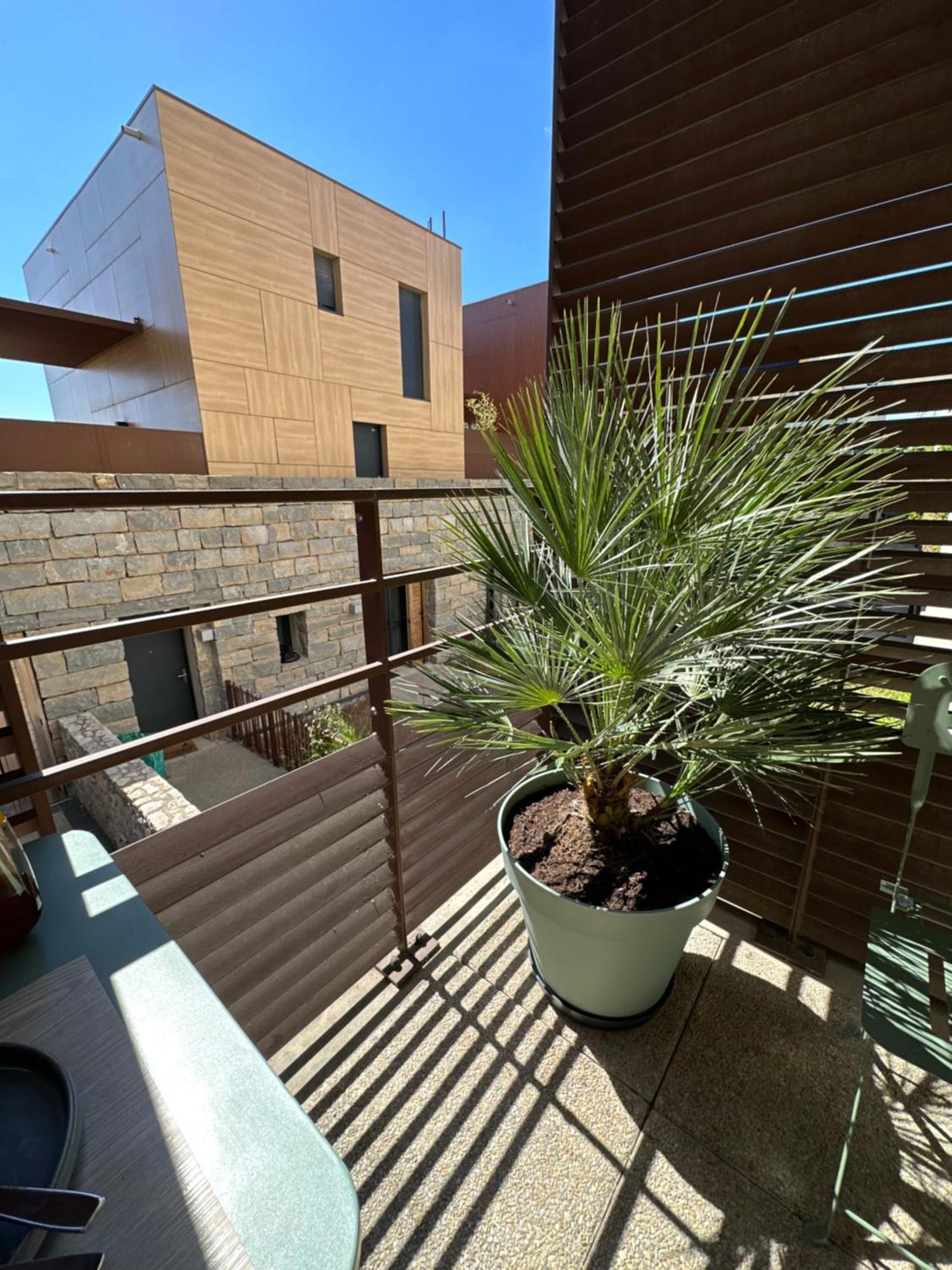 Appartement Charmant Au Porte De Montpellier Saint-Jean-de-Védas Exteriér fotografie